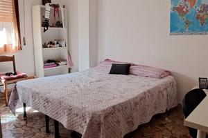 Pisa centro stanza matrimoniale per studentessa