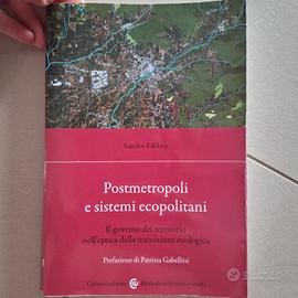 Postmetropoli e sistemi ecopolitani