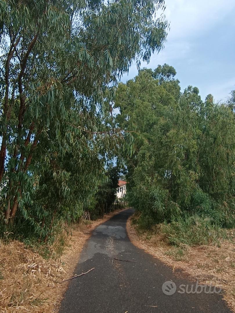 Terreno edificabile Gizzeria Lido (CZ) - Altro
