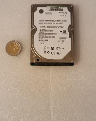 Hard disk 2,5" Interno Sata 250 GB
