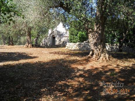 Trullo monocono in 86 are uliveto - Vista 2
