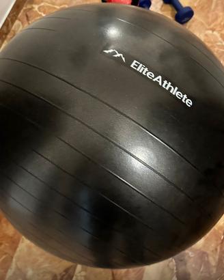 Fitball