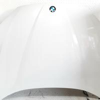 COFANO ANTERIORE BMW X1 Serie (E84) 41002993151 N4