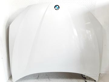 COFANO ANTERIORE BMW X1 Serie (E84) 41002993151 N4