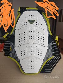 Paraschiena sci bambino