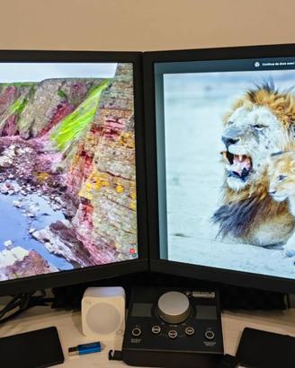 Monitor BenQ GL2480 Monitor (24 pollici 1080p