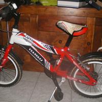 bicicletta