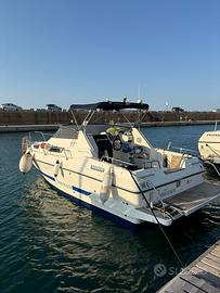 Acquaviva 21 Leader II