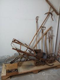 La campagna del Bisnonno