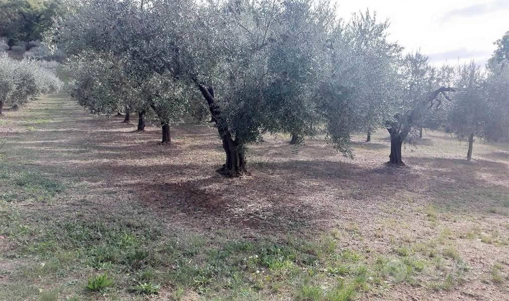 Terreno di 2020 m² a Lanciano - Vista 2