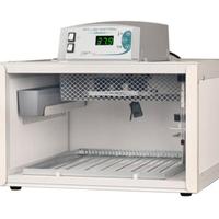 Fiem cip cip 40 uova