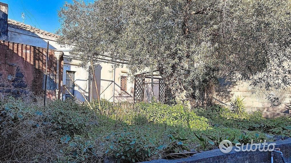 Casa Terrana con Terreno Edificabile Gravina - Vista 5