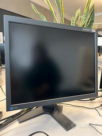Monitor professionale Eizo FlexScan 21 pollici