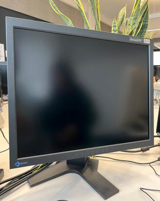 Monitor professionale Eizo FlexScan 21 pollici