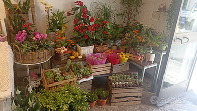 Negozio di fiori