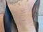 Immagine 6