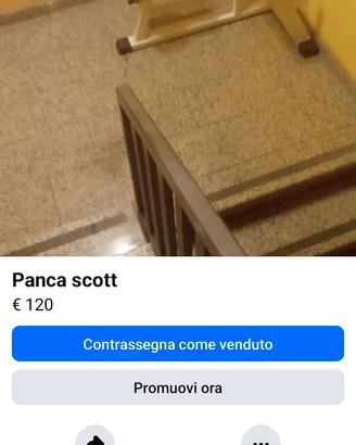 panca scott