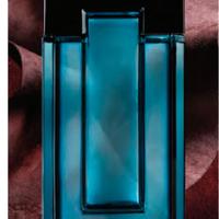 Black Suede Secret Eau de Toilette