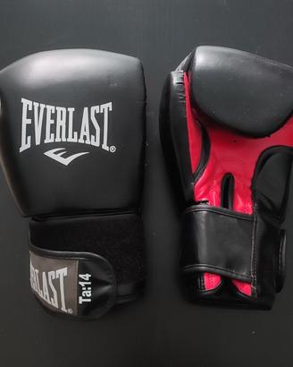 Guantoni Everlast