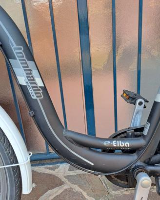 Bici elettrica