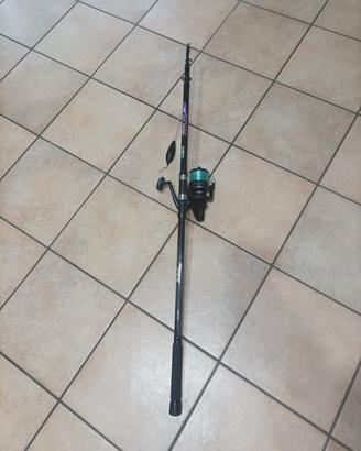 canna da pesca più mulinello 