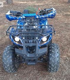 Quad elettrico