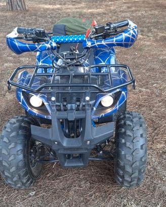 Quad elettrico