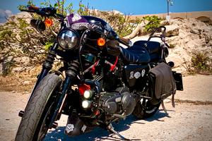 Harley davidson 883 iron xl