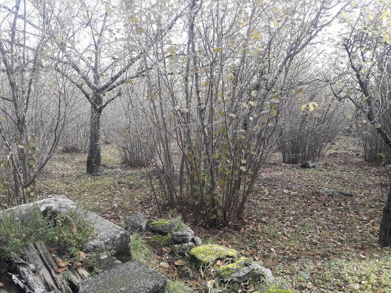 Casa rurale S. Alfio (CT) - Vista 3