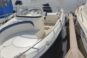 Quicksilver Commander 600