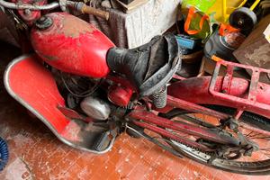 Moto Guzzi Cardellino