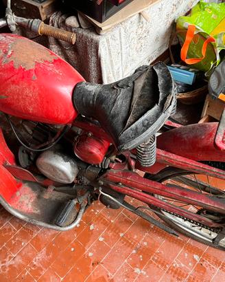 Moto Guzzi Cardellino