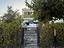 Immagine 19