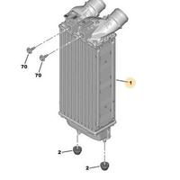 Intercooler Peugeot 3008 5008 CITROEN C4 DS4 DS5