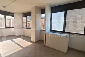 Ufficio Orte [Cod. rif 3320430ACU]