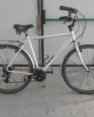 Bicicletta Adriatica Boxter