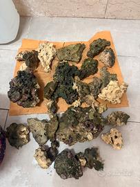 Rocce stax vive per acquario marino
