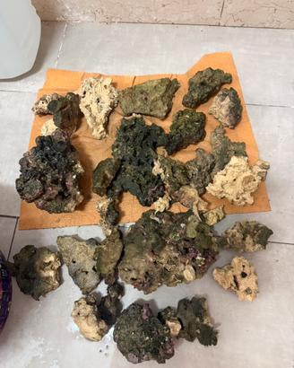 Rocce stax vive per acquario marino