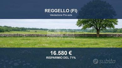 Immobile in asta di 77084 m² a Reggello