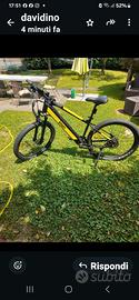  bici elettrica