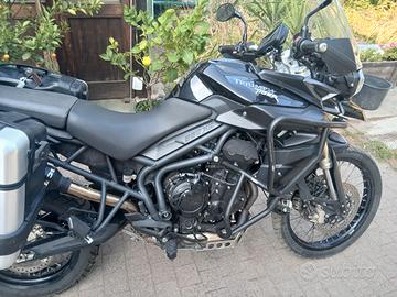 triumph tiger