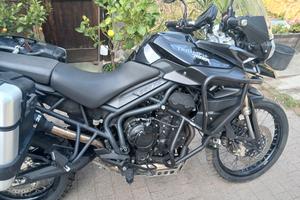 triumph tiger