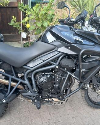 triumph tiger