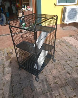 gabbia cincillà o roditori 