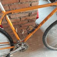 Bici speed in allumiio