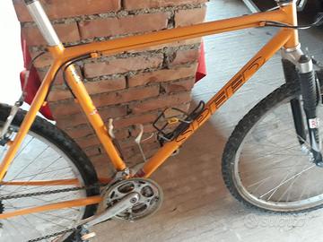 Bici speed in allumiio