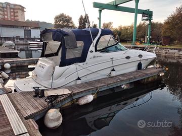 Sea Ray 315 del 2003