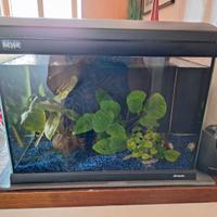 Acquario Newa Mirabello