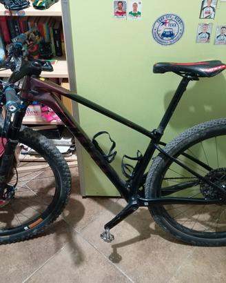 Mountain bike 