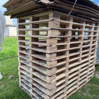 pallet
